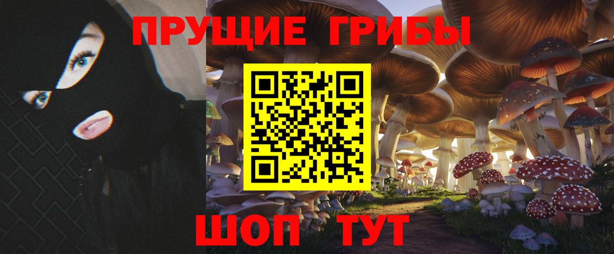 Вязьма  где найти   Вход с VPN  Галлюциногенные грибы мицелий 